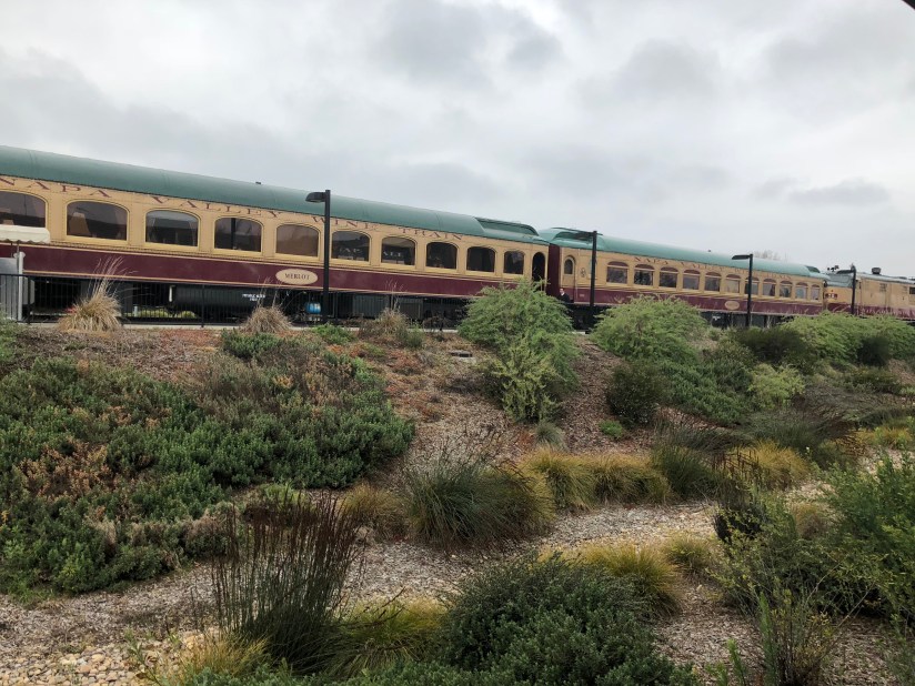 RjsZrSpCR3KKZoP0IvC6Vg