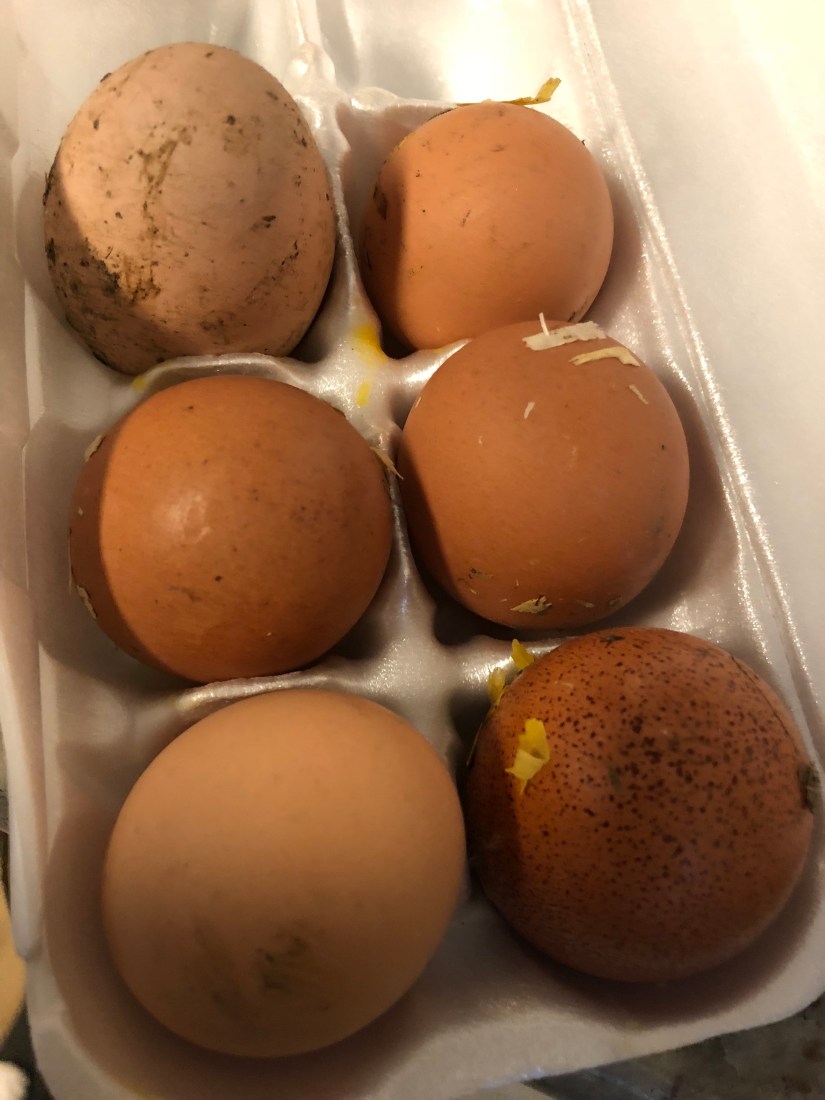 %ClnmuQHQFKW22%WmlxJJw